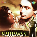 Naujawan (1951) Mp3 Songs